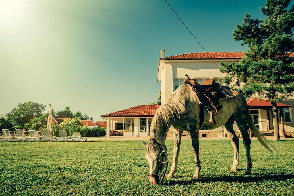 Guest House Ongal Kruszuna Zewnętrze zdjęcie