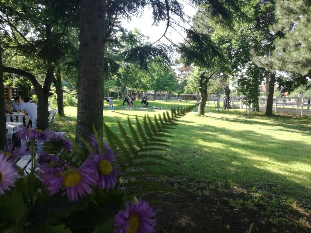 Guest House Ongal Kruszuna Zewnętrze zdjęcie